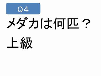 メダカを漢字で書くと ５年 メダカのたんじょう Jpg