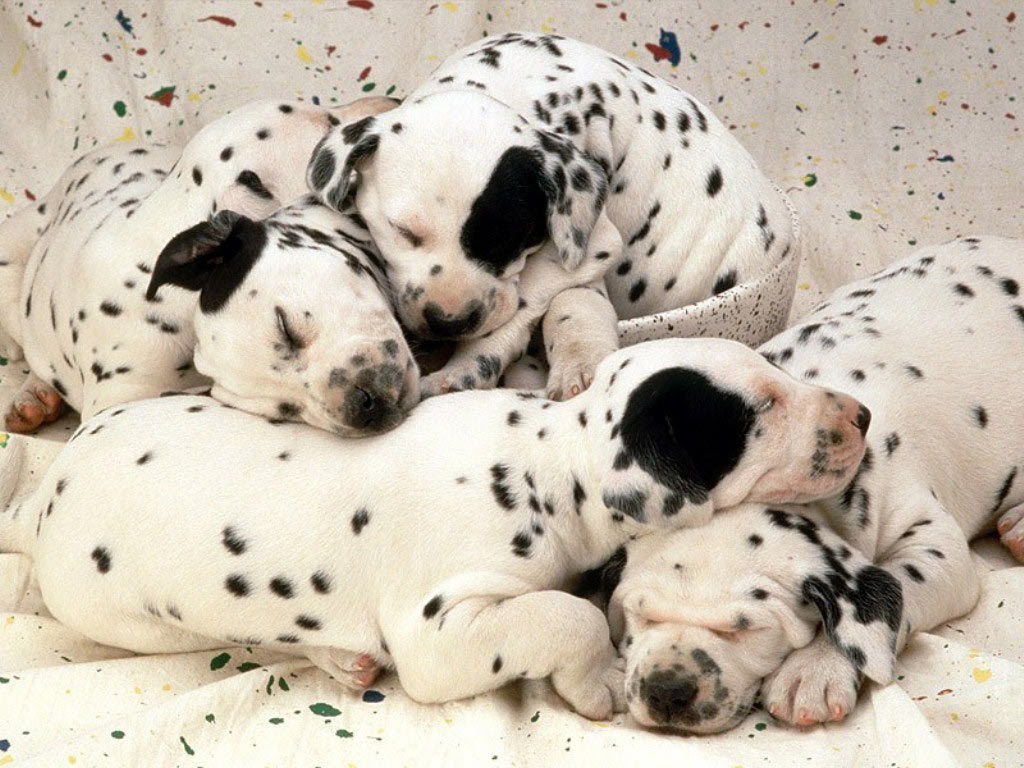 http://24.media.tumblr.com/tumblr_m761r64oaE1rvm6rho1_1280.jpg