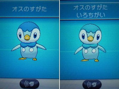 色ポッチャマ Xy 色ポケめも