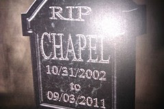 IMAG2822.jpg