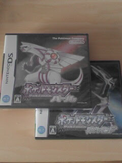 パール届いた Steel Sky