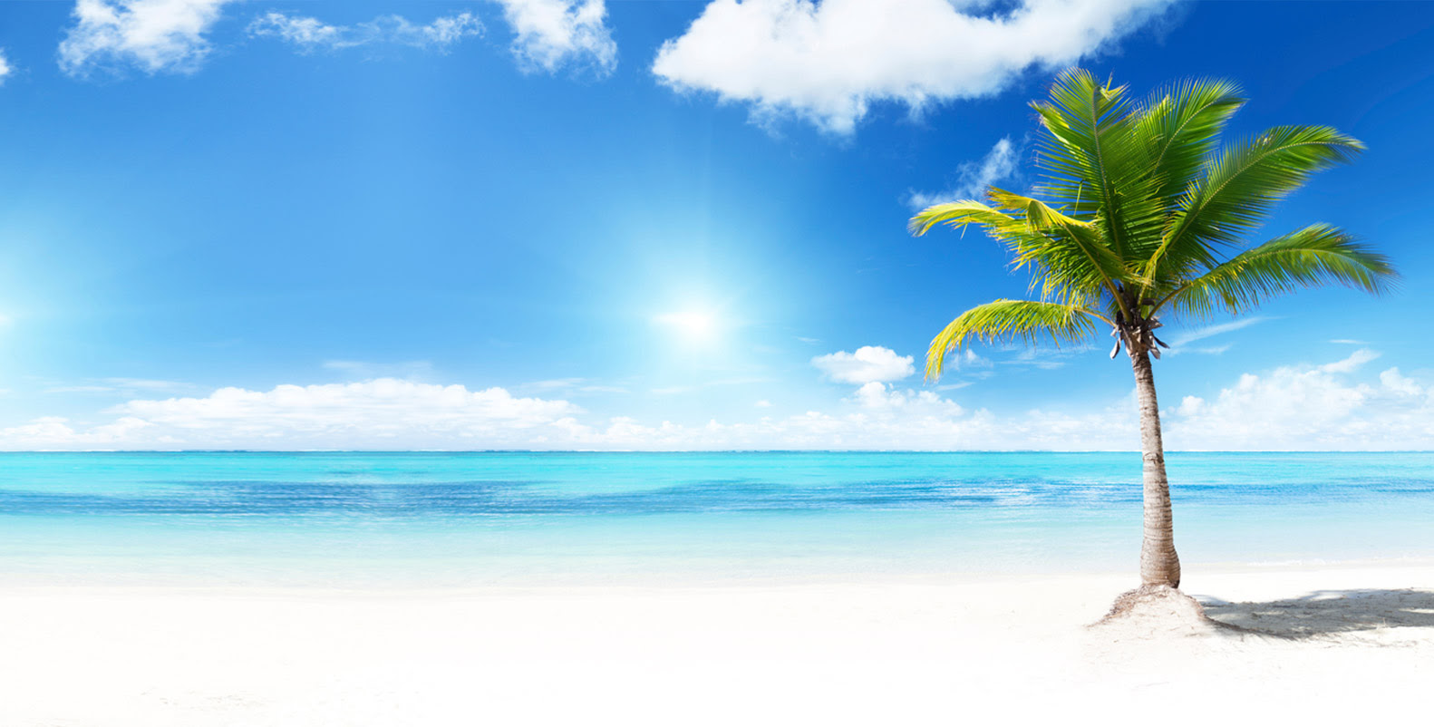 Full Screen Backgrounds - WallpaperSafari