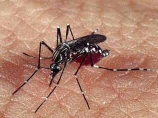 Mais de 2.000 mulheres grávidas estão infectadas com zika na Colômbia
