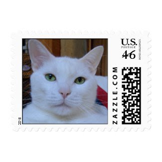 Dignified Cat Postage stamp