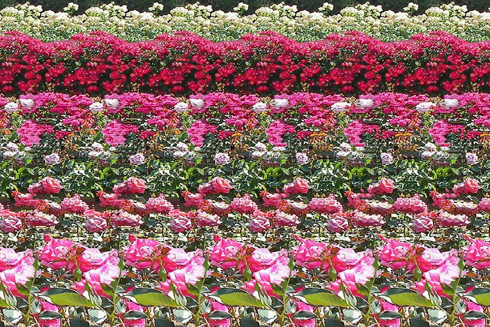 マジカルアイ 今日のマジカルアイ画像中級です