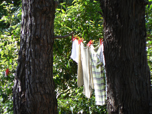 linge.jpg