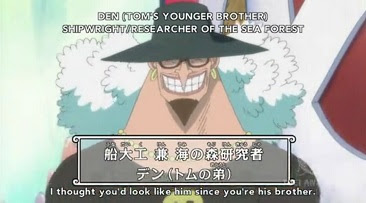 木陰の岩の眠り猫 One Piece アニメ感想