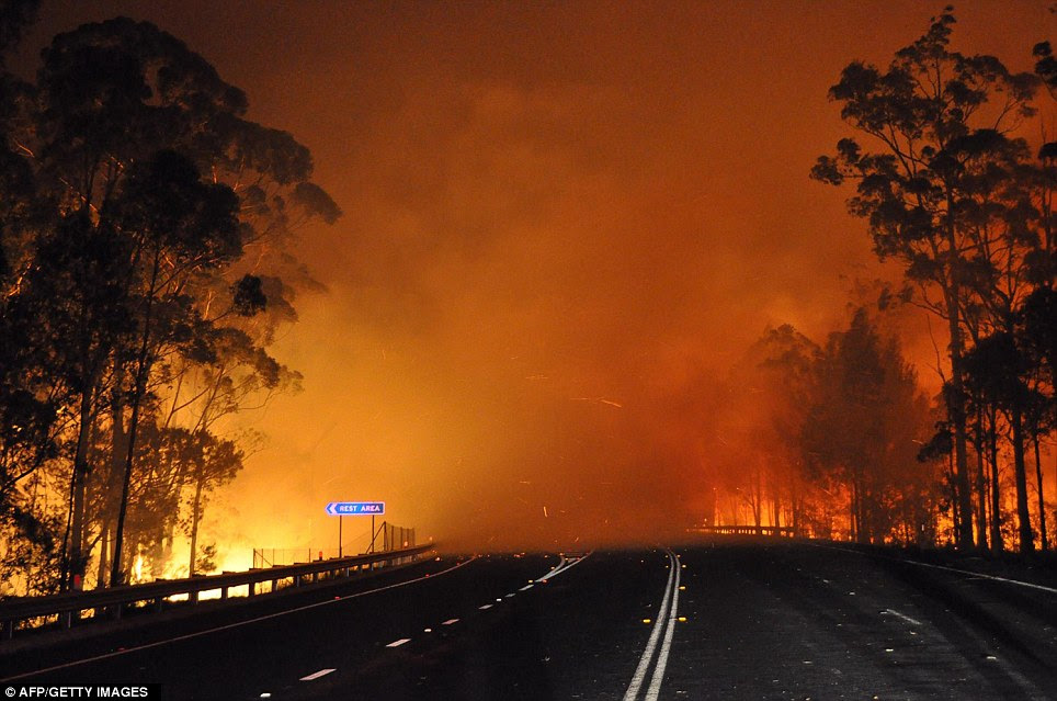 Menacing: Trees burns and smoke billows from a fire along the Princes Highway at Deans Gap in the Shoalhaven area in New South Wales