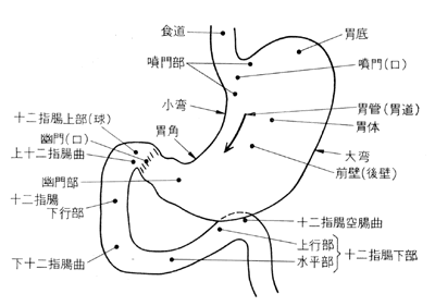 東芝レビュー
