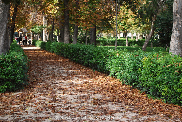 Parque del Retiro