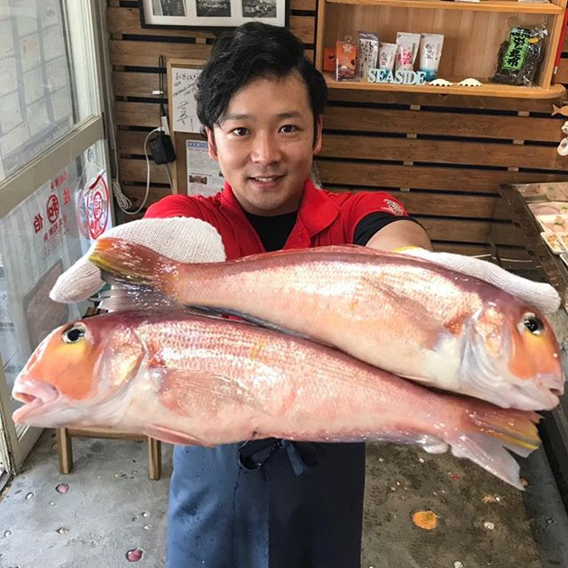 本日のオススメ刺身は甘鯛の炙りです O 博多の魚屋おぎはら鮮魚店