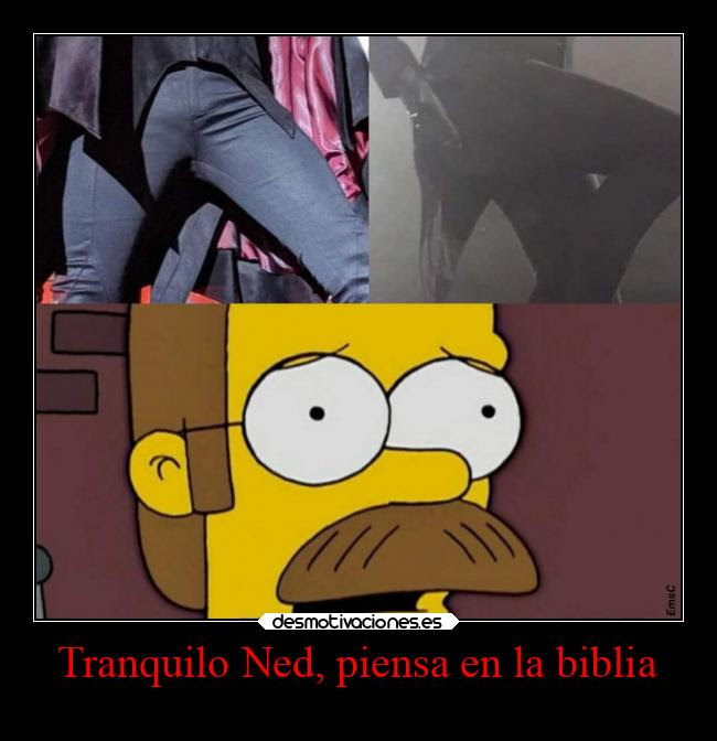 wallpapers Tranquilo Ned Piensa En La Biblia Plantilla desmotivaciones es