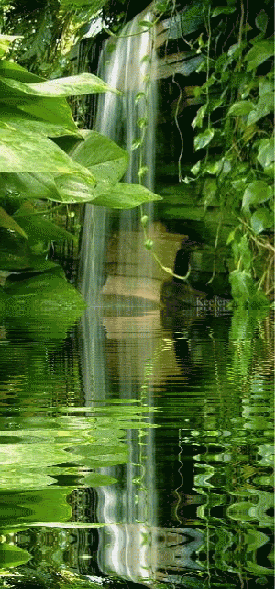 El rio de la vida