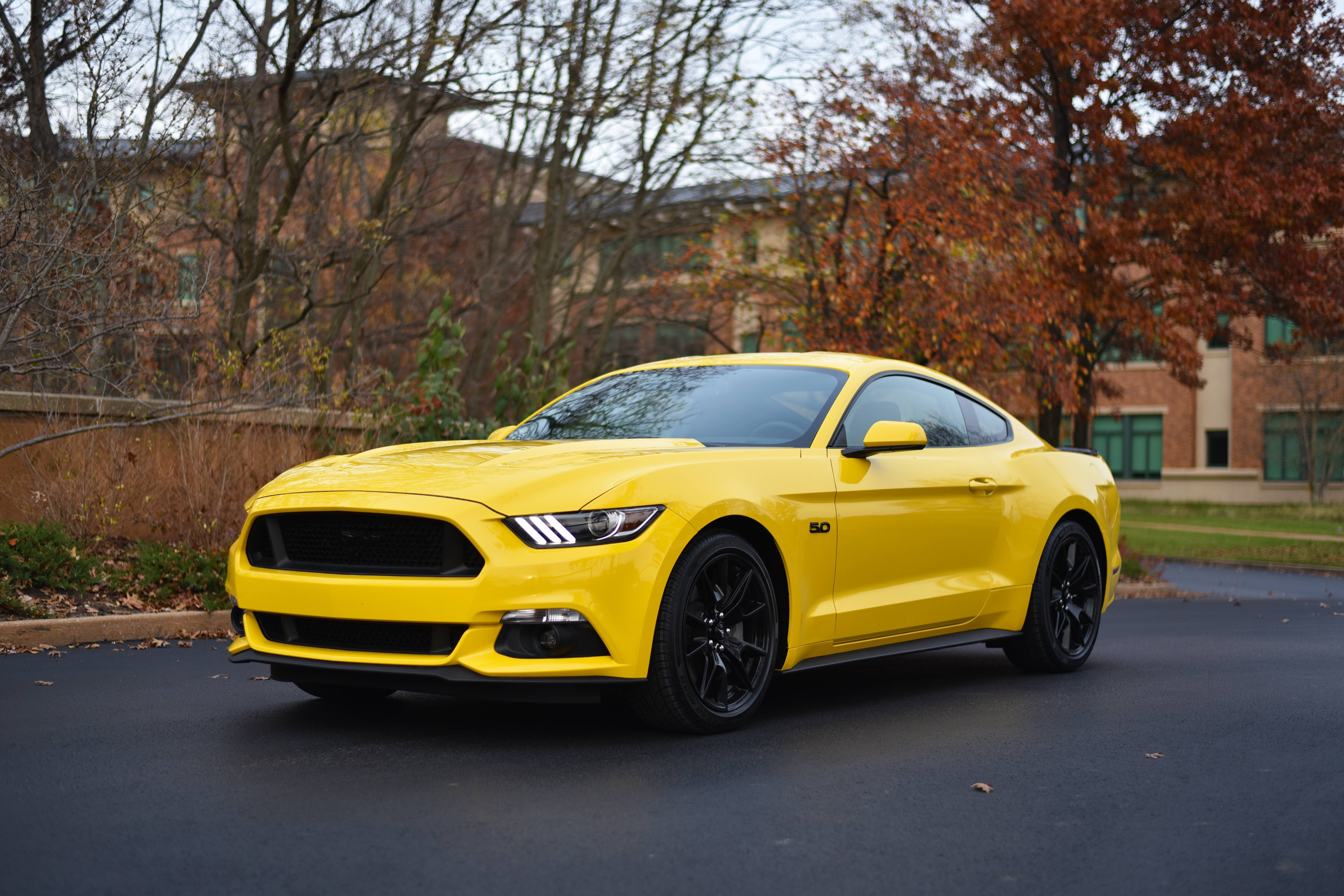 I Am The Happy Owner Of This 17 Mustang Gt Fastback Mustang