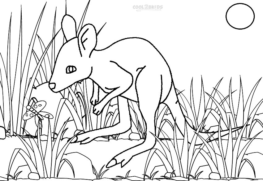 Download Printable Kangaroo Coloring Pages For Kids | Cool2bKids