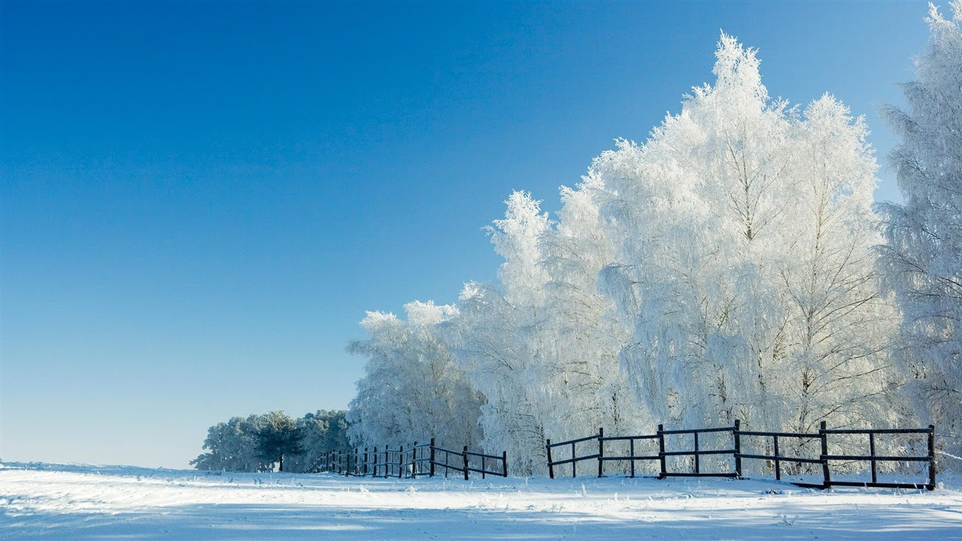 冬の雪の美しい風景のhdの壁紙 15 1366x768 壁紙ダウンロード 冬の雪の美しい風景のhdの壁紙 風景 壁紙 V3の壁紙