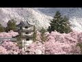 [コンプリート！] 芦屋 桜 名所 630119-芦屋 桜 名所