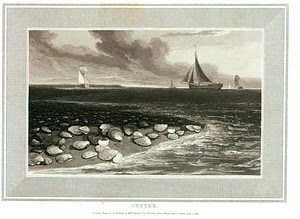Oyster. Digital ID: 480021. New York Public Library