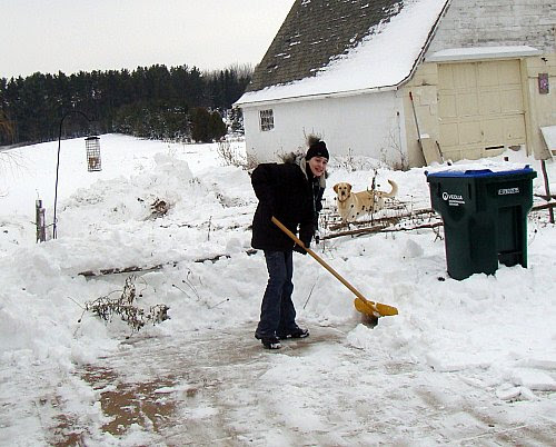 Casey shovels, Punk Waits