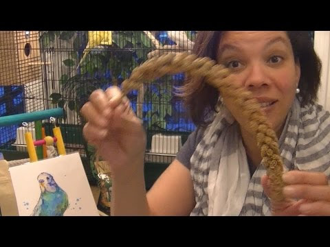 Best Budgie Products A video about budgie products we love here at The Parakeet Perch! It includes the Prevue Hendryx parakeet flight cage (available ...