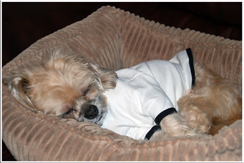 Naps