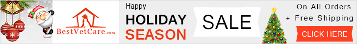Save 15% Off for Holiday Season Sale