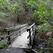 Ilabekken - Akam Photo-Walk