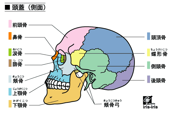 振 武 の 全 身 骨 格 調 整 に ついて 図 で 見 る