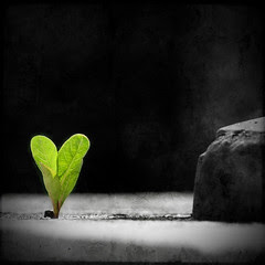 Sign of Life II