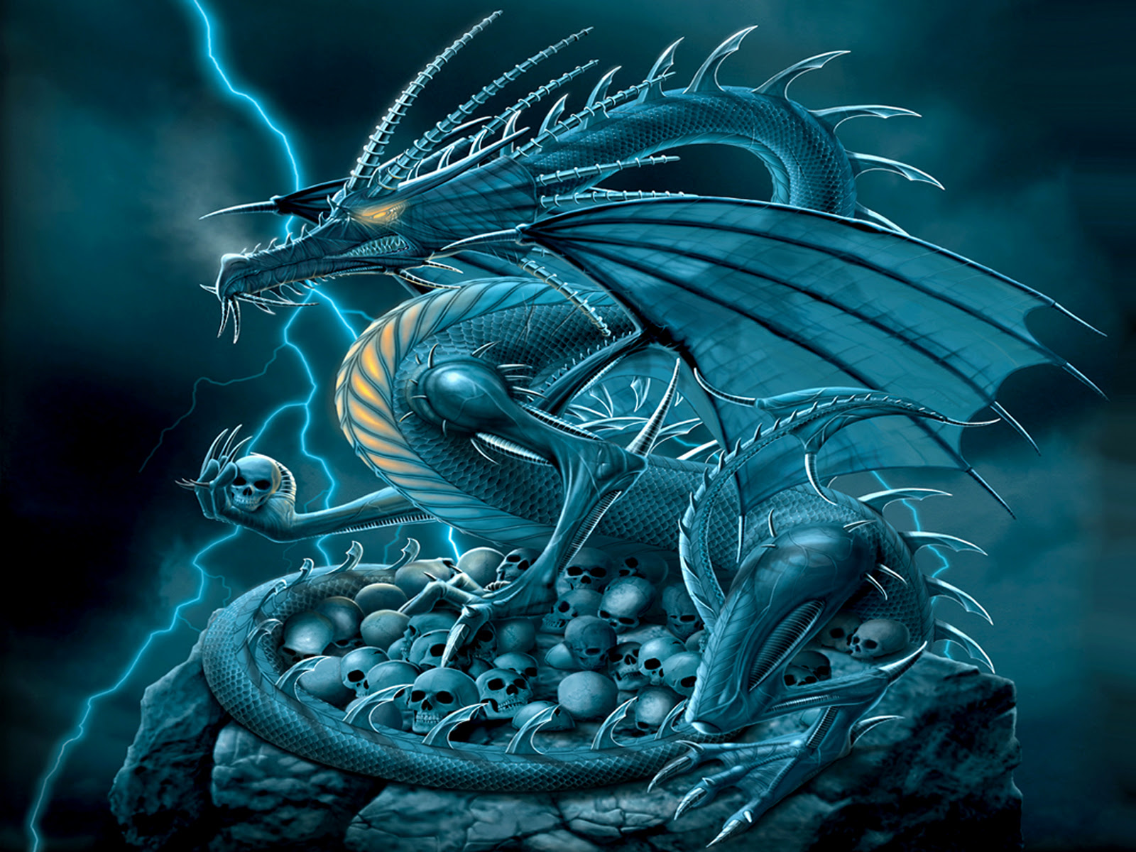Cool Dragon HD Wallpaper Backgrounds Free Download 