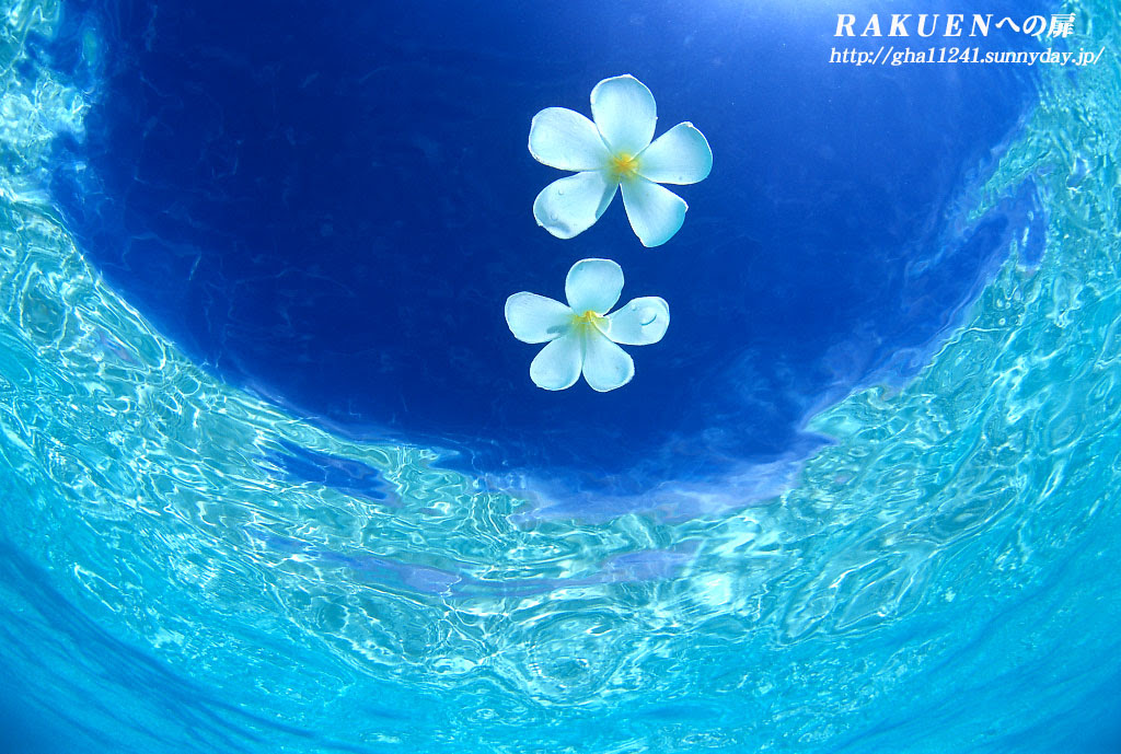 オリジナル 真似 Rakuenへの扉 撮影雑記