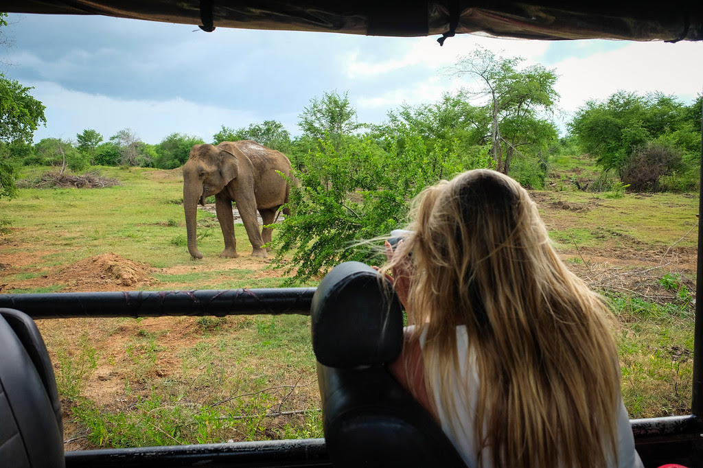 Udawalawe National Park 