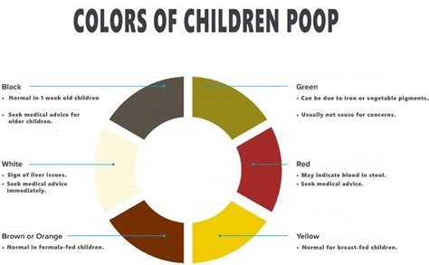 Learn what different colors can indicate here. poop guide 101 how to tell your childs health by their stool dr parents