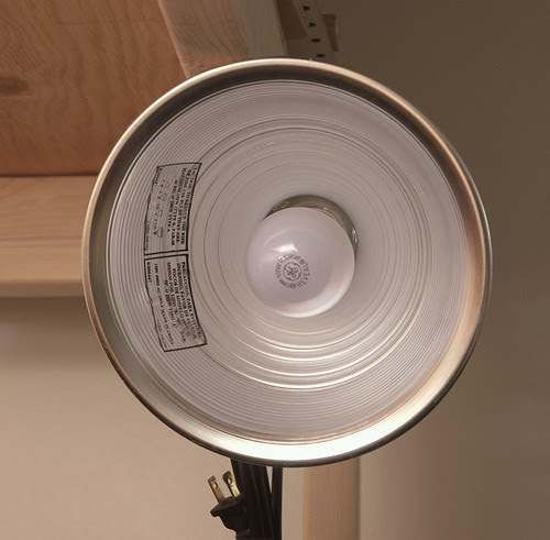 Clip Lamp
