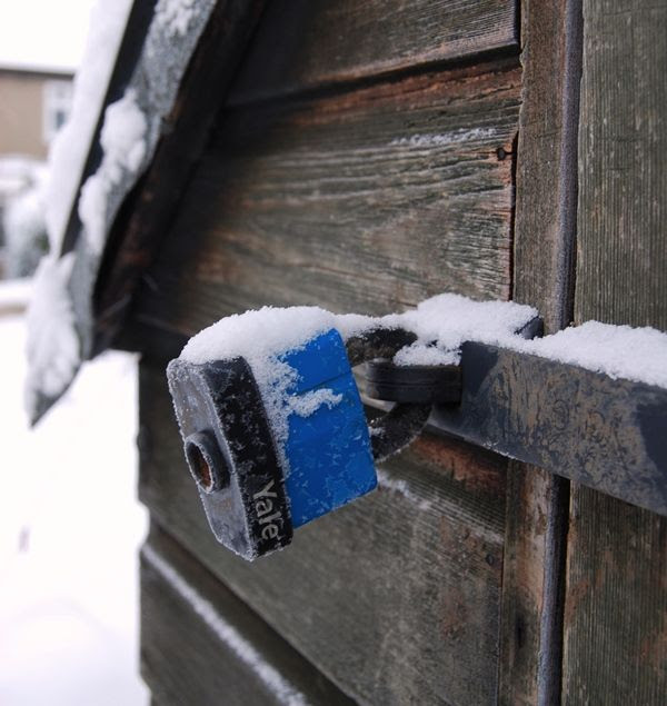 Winter 2010