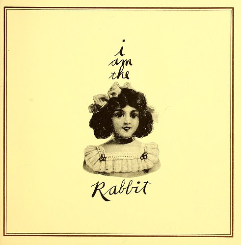 RabbitBox23