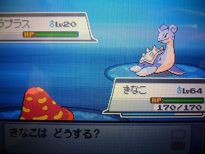 よもぎの色ポケコレクションブログ 色違いポケモン リセット