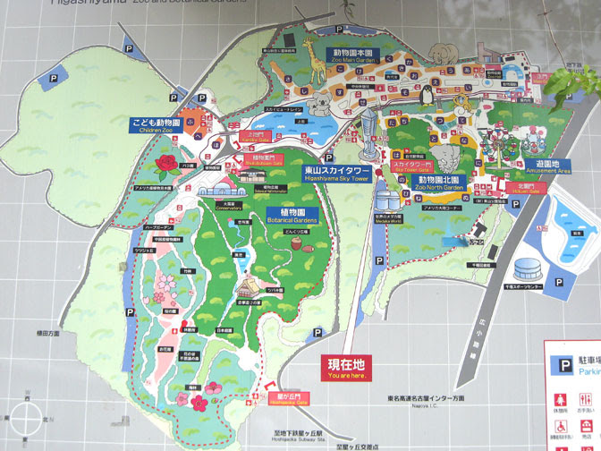 デートぴあっと東海 東山動植物園 ファミリー デート スポット 愛知県 名古屋市 千種区 駐車場 料金 営業時間 日帰り旅行 ドライブ