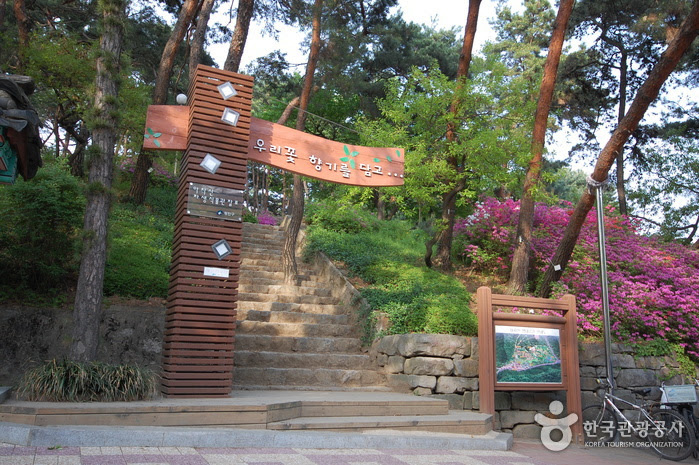 Achasan Mountain Ecological Park (아차산생태공원)