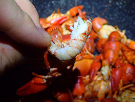 長野のウチダザリガニを食べてみる ざざむし