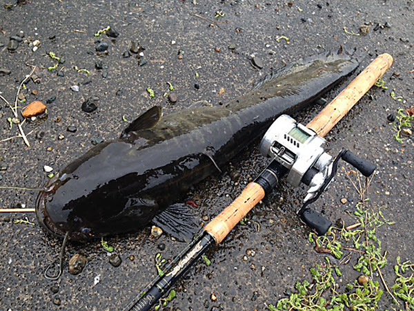 Megabass Engineering Team Blog Vol 65 Megabass メガバス