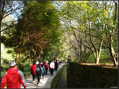 DSC02864