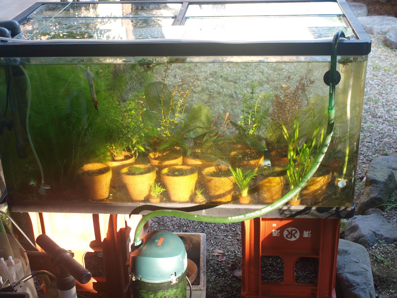 水量２８０l以上の９０cm水槽 還暦おやじの水草水槽
