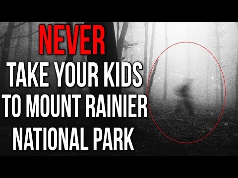 Video Rainer Com