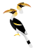 Bucerosbicornis.svg