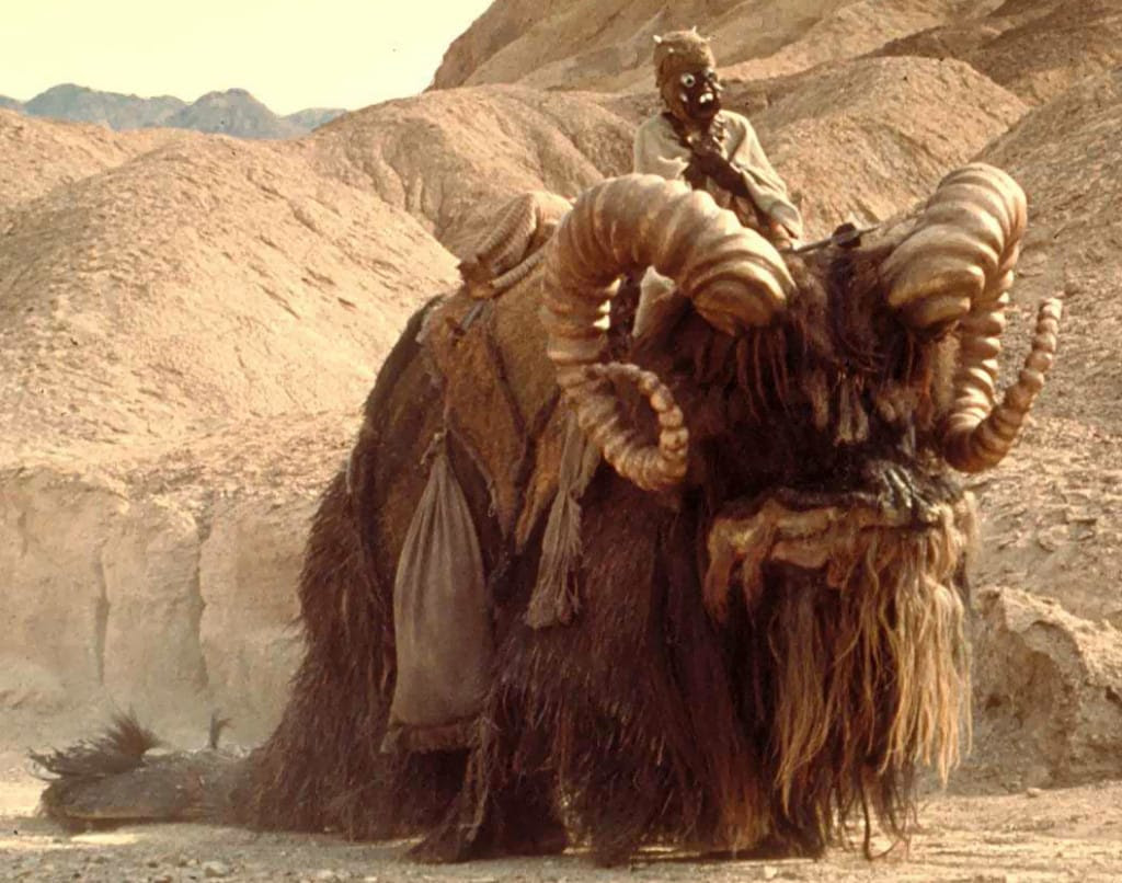 sand people animal