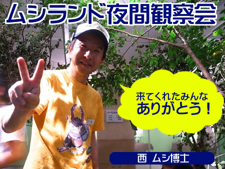ムシランド,夜間観察会