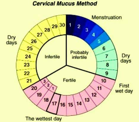 Is It Possible to Get Pregnant on Your Period ?