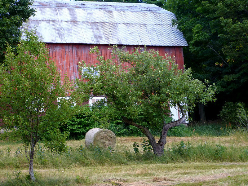 everything rural