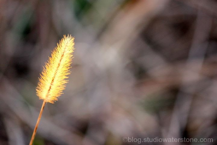 studio waterstone blog